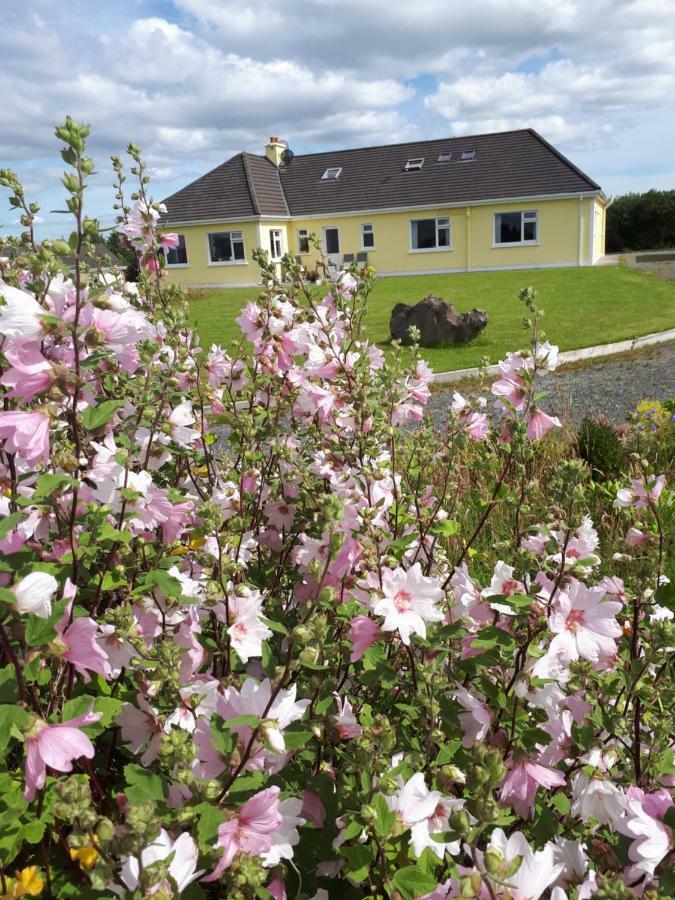Tullaleagan Guesthouse Оугтерард Екстериор снимка